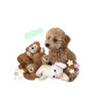 プードル♡メルシーの日常（個別スタンプ：40）