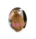 き〜ちゃんは言いたいことがある（個別スタンプ：6）
