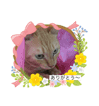 き〜ちゃんは言いたいことがある（個別スタンプ：7）