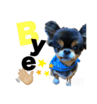 チワワのミッキーくん（個別スタンプ：9）