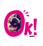 チワワのミッキーくん（個別スタンプ：11）