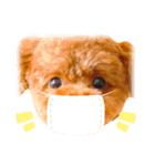 お犬さまchocopi（個別スタンプ：3）