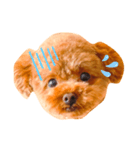 お犬さまchocopi（個別スタンプ：6）