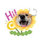 私は木製の犬のように（個別スタンプ：1）