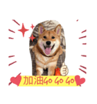 私は木製の犬のように（個別スタンプ：4）