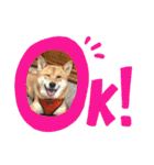 私は木製の犬のように（個別スタンプ：6）