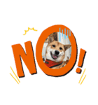 私は木製の犬のように（個別スタンプ：9）