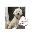 ロン 2020②（個別スタンプ：5）