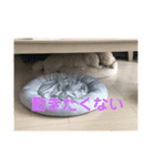 ロン 2020②（個別スタンプ：6）