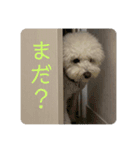ロン 2020②（個別スタンプ：9）