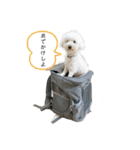 ロン 2020②（個別スタンプ：11）