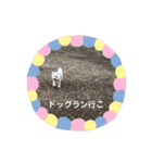 ロン 2020②（個別スタンプ：15）