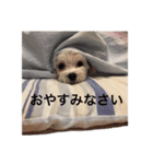 ティノくんの日常（個別スタンプ：6）