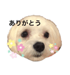 ティノくんの日常（個別スタンプ：7）