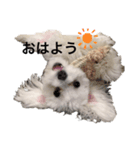 ティノくんの日常（個別スタンプ：8）