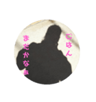 影で挨拶（個別スタンプ：4）