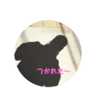 影で挨拶（個別スタンプ：7）