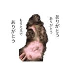 takedaファミリー（個別スタンプ：7）