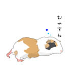 もっともっともるもっと生活（個別スタンプ：2）