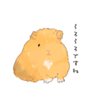 もっともっともるもっと生活（個別スタンプ：9）