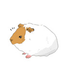 もっともっともるもっと生活（個別スタンプ：12）
