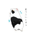 もっともっともるもっと生活（個別スタンプ：13）