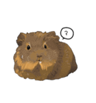もっともっともるもっと生活（個別スタンプ：33）