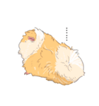 もっともっともるもっと生活（個別スタンプ：34）