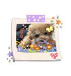 きんちゃんぎんちゃんの幼少期スタンプ（個別スタンプ：3）