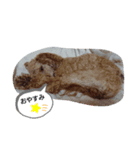 ソラスタンプU´•ﻌ•`U（個別スタンプ：2）