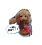 ソラスタンプU´•ﻌ•`U（個別スタンプ：3）