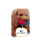 ソラスタンプU´•ﻌ•`U（個別スタンプ：4）
