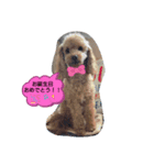 ソラスタンプU´•ﻌ•`U（個別スタンプ：6）