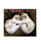 サバトララーメンず2（個別スタンプ：14）