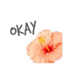 Flowers＊日常スタンプ（個別スタンプ：2）