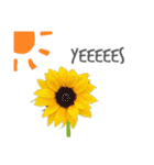 Flowers＊日常スタンプ（個別スタンプ：9）