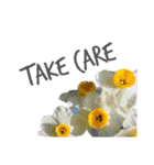 Flowers＊日常スタンプ（個別スタンプ：12）