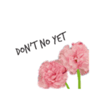 Flowers＊日常スタンプ（個別スタンプ：13）