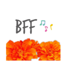 Flowers＊日常スタンプ（個別スタンプ：15）