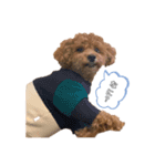愛犬ラヴちゃん♡（個別スタンプ：2）