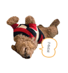 愛犬ラヴちゃん♡（個別スタンプ：4）