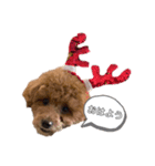 愛犬ラヴちゃん♡（個別スタンプ：5）