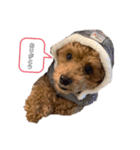 愛犬ラヴちゃん♡（個別スタンプ：7）