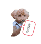 愛犬ラヴちゃん♡（個別スタンプ：8）