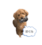 愛犬ラヴちゃん♡（個別スタンプ：13）