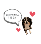 めい様スタンプ（個別スタンプ：3）