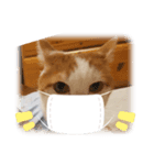 キハチくん（個別スタンプ：5）