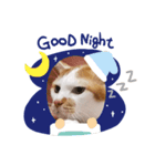 キハチくん（個別スタンプ：8）