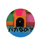 りつき20170117（個別スタンプ：28）