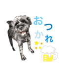 Reeちゃん2（個別スタンプ：4）